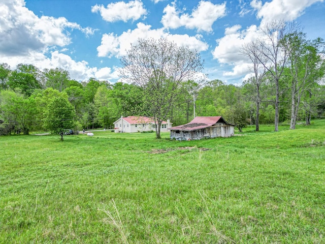 view of yard with a forest view