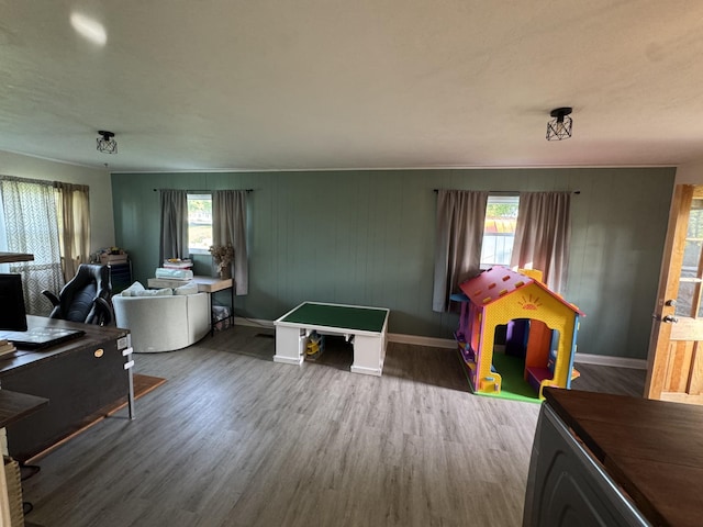 game room featuring wood finished floors and a wealth of natural light