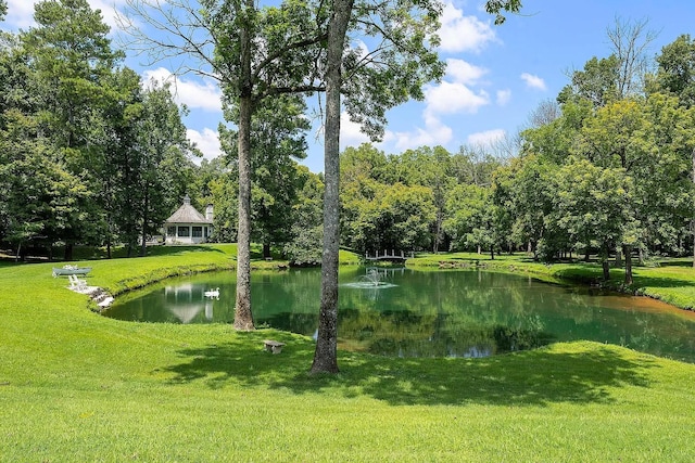 view of property's community with a water view and a lawn
