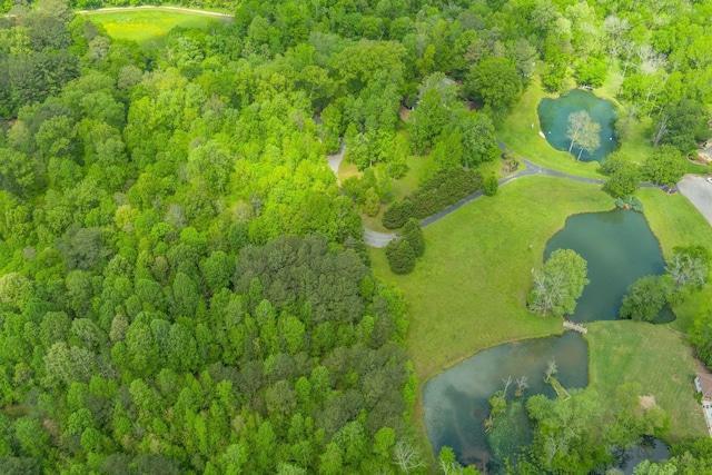 aerial view with a water view and a view of trees