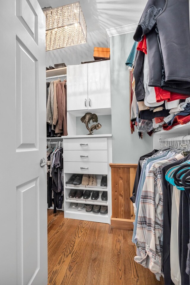 spacious closet with wood finished floors