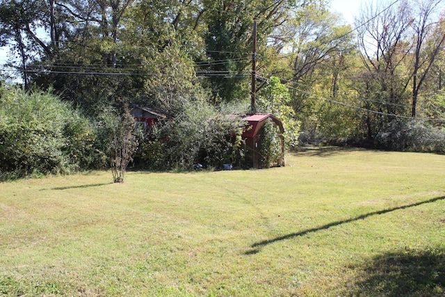 913 Branch Rd, Clarksville, TN 37043 - view of yard featuring a storage unit and an outbuilding