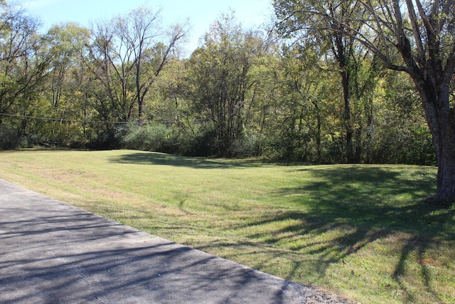 913 Branch Rd, Clarksville, TN 37043 - view of yard with a view of trees