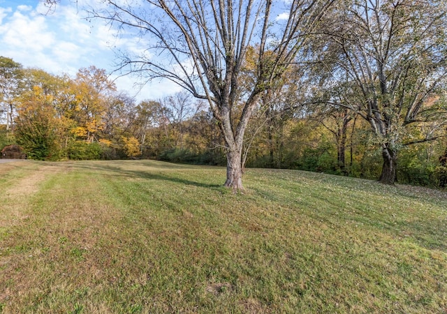 913 Branch Rd, Clarksville, TN 37043 - view of yard
