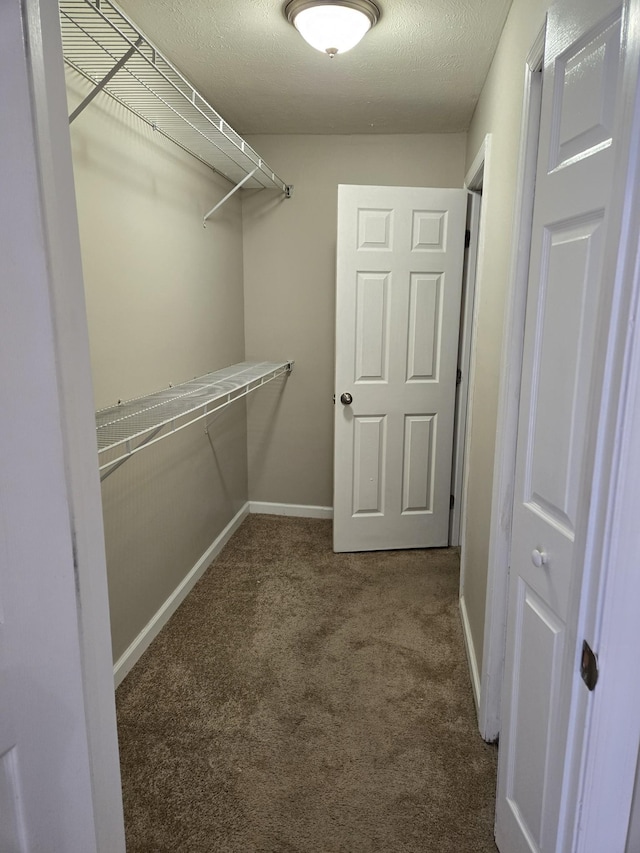 spacious closet featuring carpet floors