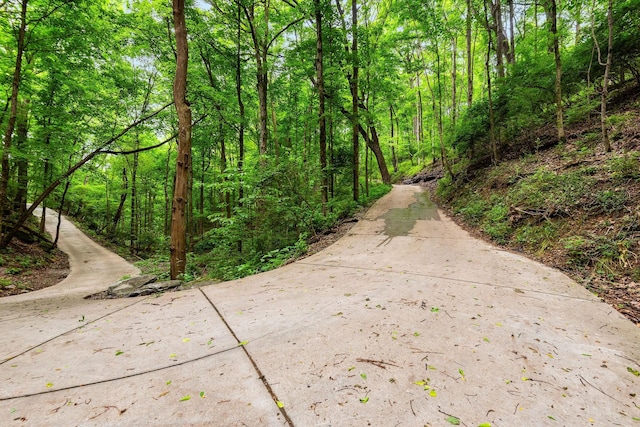 5040 Villa Crest Dr, Nashville, TN 37220 - view of community featuring a view of trees