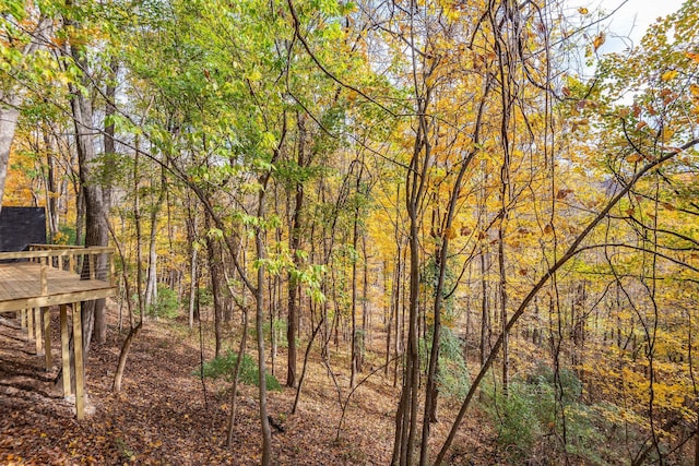 5040 Villa Crest Dr, Nashville, TN 37220 - view of yard featuring a deck and a view of trees