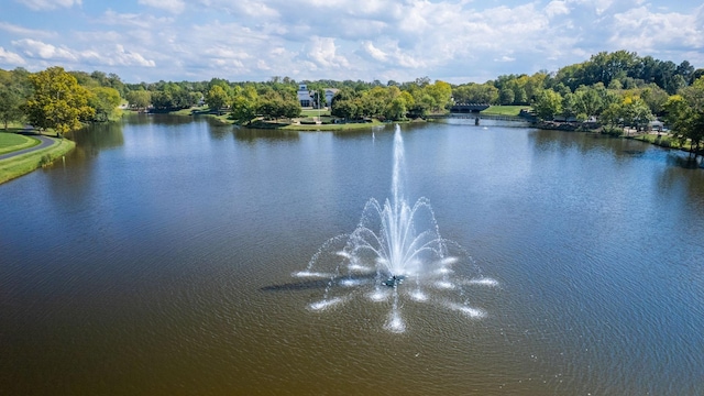 view of water feature