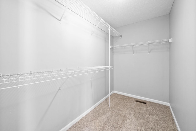 walk in closet with carpet flooring and visible vents