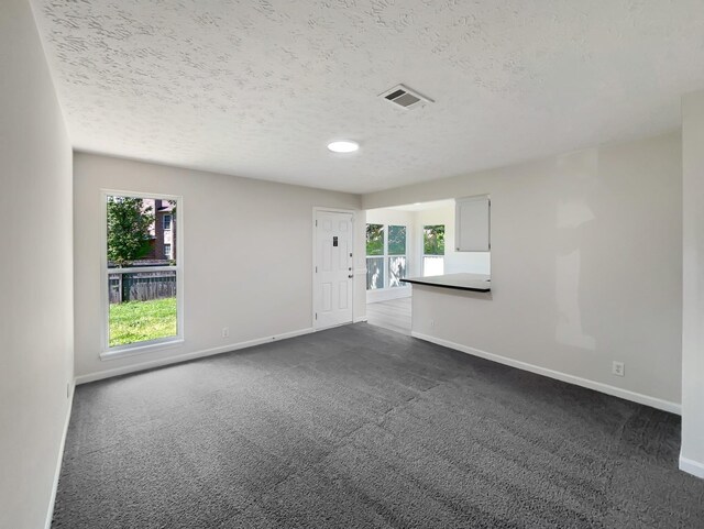 616 Hardin Shire Dr, Old Hickory, TN 37138 - spare room with baseboards, dark carpet, a wealth of natural light, and a textured ceiling