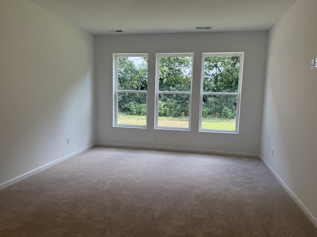 1338 Linn Cove Ct, Gallatin, TN 37066 - photo 19