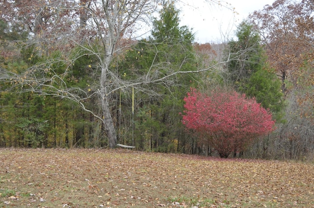 547 Grindstone Hollow Rd, Dickson, TN 37055 - view of yard featuring a wooded view