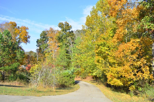 547 Grindstone Hollow Rd, Dickson, TN 37055 - view of property's community with a view of trees