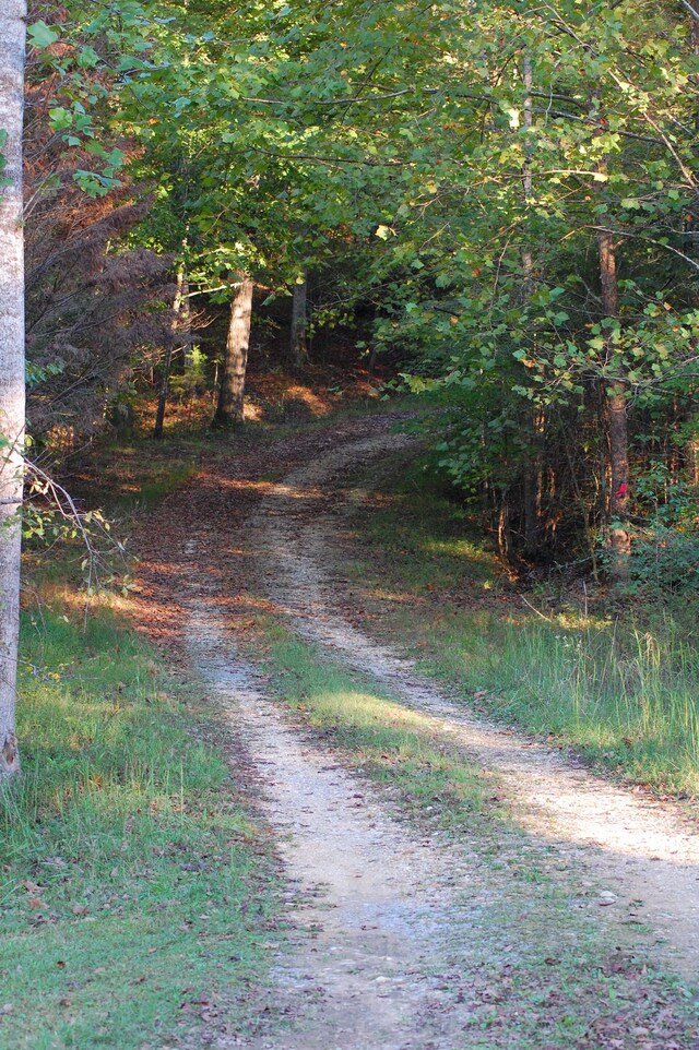 547 Grindstone Hollow Rd, Dickson, TN 37055 - view of dirt / gravel road