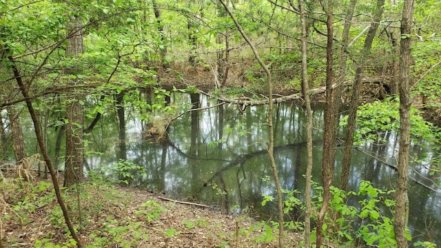 547 Grindstone Hollow Rd, Dickson, TN 37055 - water view with a forest
