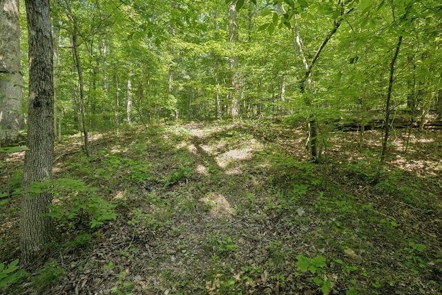 547 Grindstone Hollow Rd, Dickson, TN 37055 - photo 42