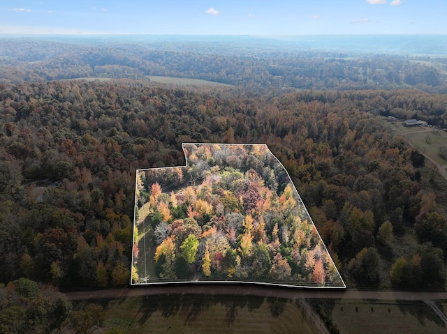 drone / aerial view with a wooded view