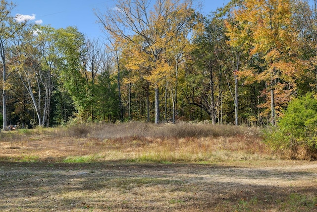 view of local wilderness