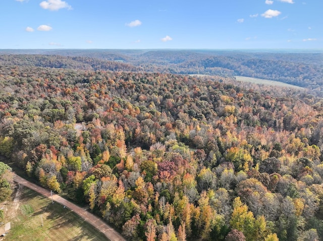 birds eye view of property with a forest view