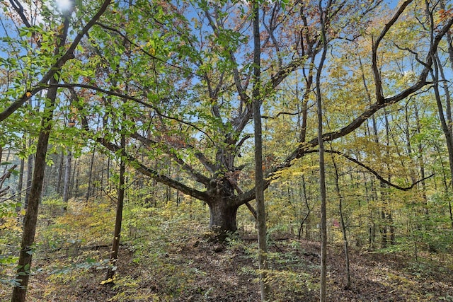 view of landscape with a view of trees