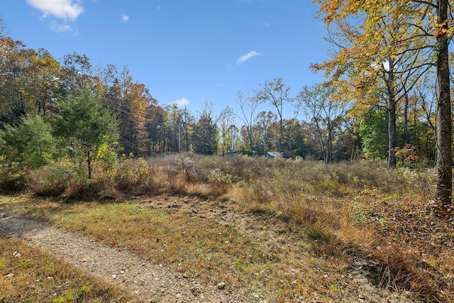 view of landscape with a wooded view