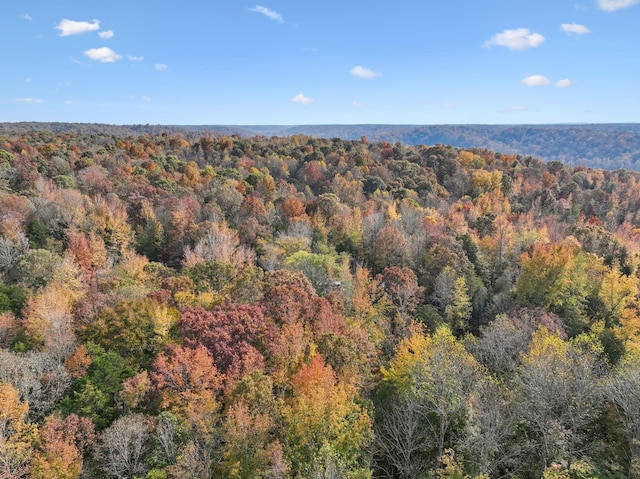 bird's eye view featuring a wooded view