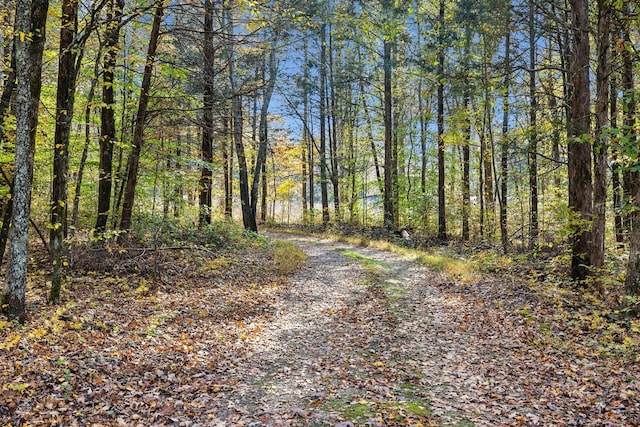 view of street with a forest view