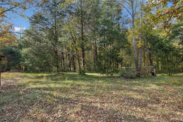 view of yard featuring a forest view