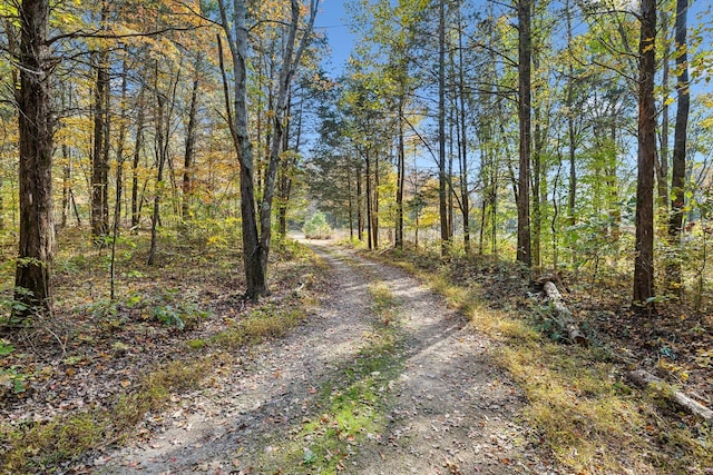 view of road featuring a view of trees