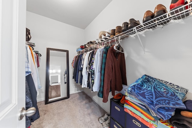 3211 Milkweed Dr, Murfreesboro, TN 37128 - photo 21