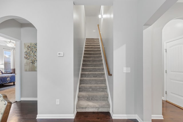 3211 Milkweed Dr, Murfreesboro, TN 37128 - photo 25