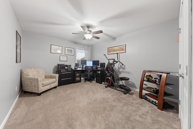 3211 Milkweed Dr, Murfreesboro, TN 37128 - photo 36
