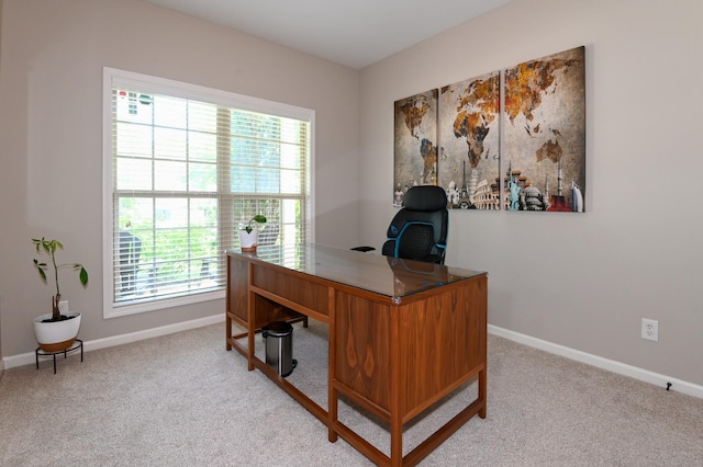 office with carpet floors and baseboards