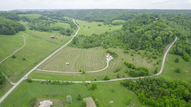 1344 French Brantley Rd, Wartrace, TN 37183 - aerial view of sparsely populated area