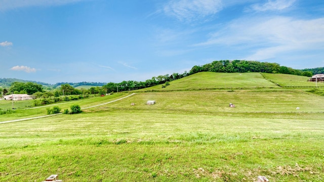1344 French Brantley Rd, Wartrace, TN 37183 - surrounding community with a view of rural / pastoral area and a yard