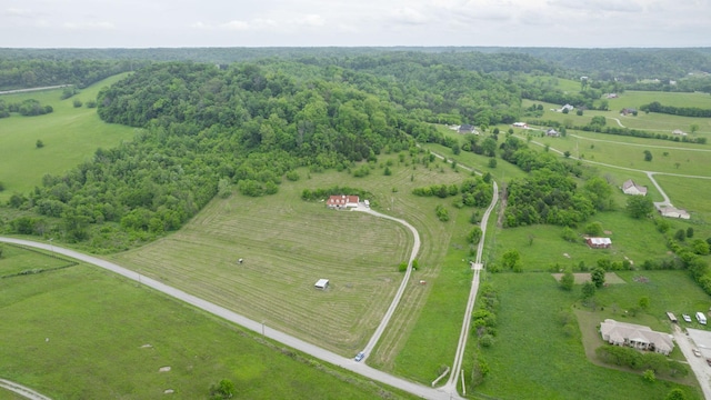 1344 French Brantley Rd, Wartrace, TN 37183 - aerial overview of property's location with rural landscape