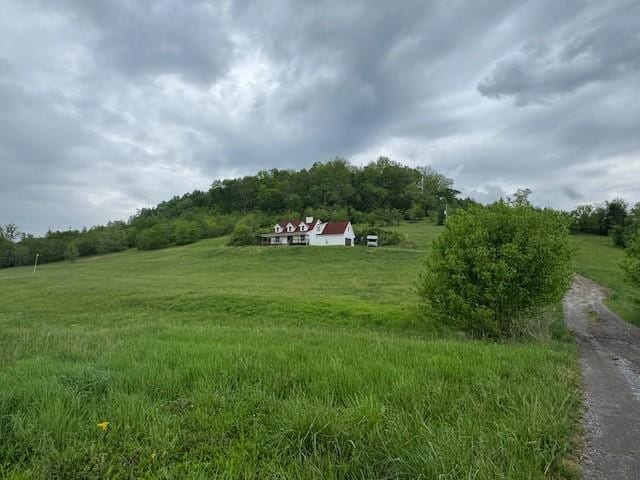 1344 French Brantley Rd, Wartrace, TN 37183 - view of yard with a view of rural / pastoral area