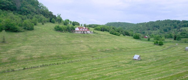 1344 French Brantley Rd, Wartrace, TN 37183 - overview of rural landscape with a forest