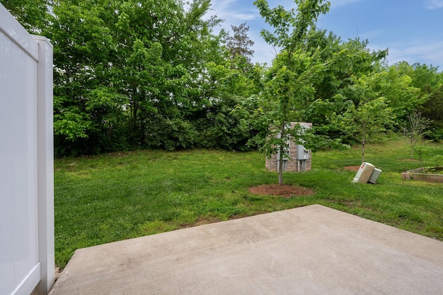 view of yard featuring a patio area