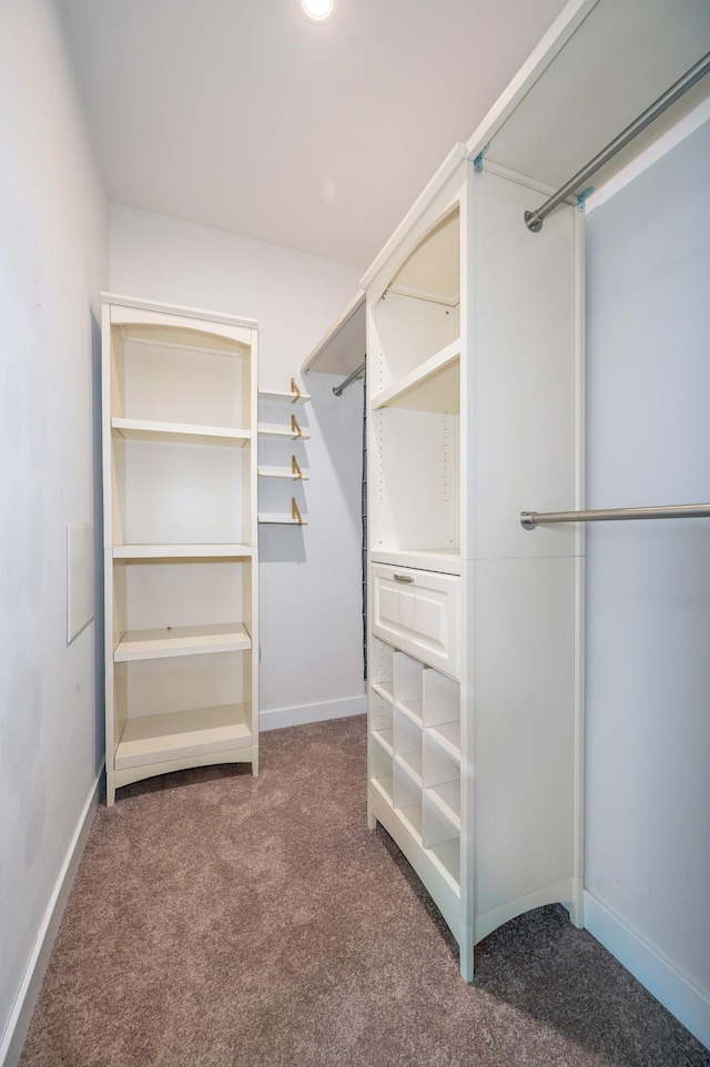 spacious closet featuring carpet flooring