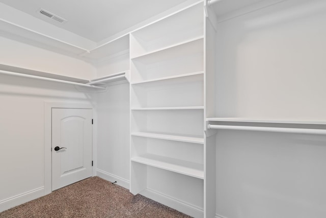 1041 Irish Way, Spring Hill, TN 37174 - walk in closet featuring visible vents and carpet floors