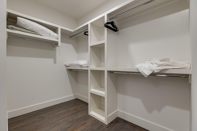 spacious closet with dark wood finished floors
