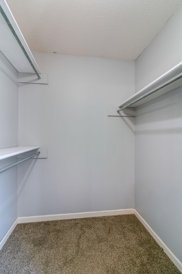 417 Sandburg Dr, Clarksville, TN 37042 - photo 9