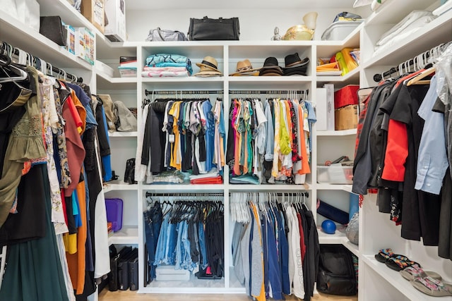 view of spacious closet