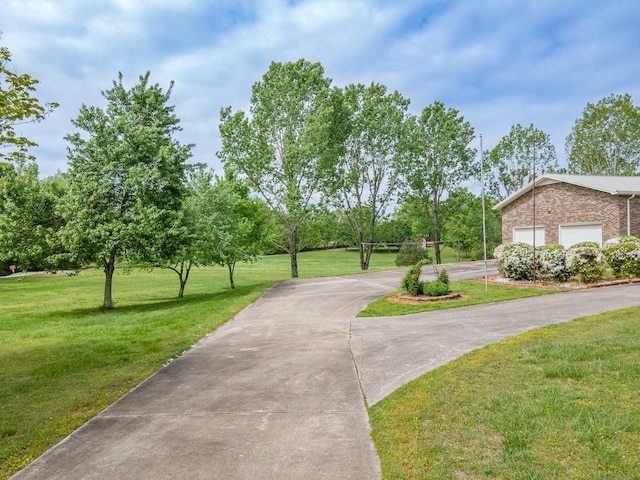 view of community featuring driveway and a yard