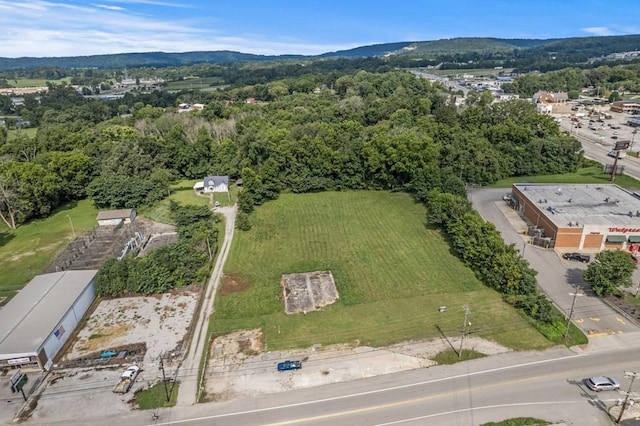 25 Mayberry St, Sparta, TN 38583 - photo 5