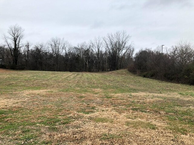 25 Mayberry St, Sparta, TN 38583 - photo 12