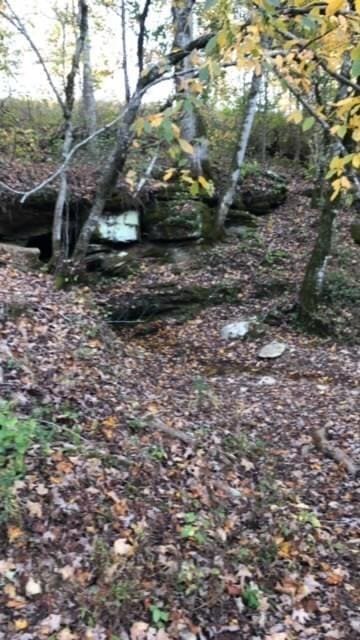 899 Messenger Rd, Sparta, TN 38583 - photo 55