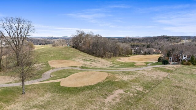 90 Governors Way, Brentwood, TN 37027 - photo 87
