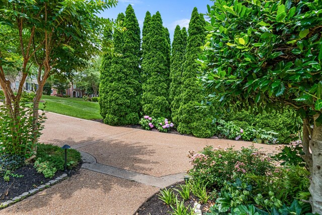 90 Governors Way, Brentwood, TN 37027 - photo 9